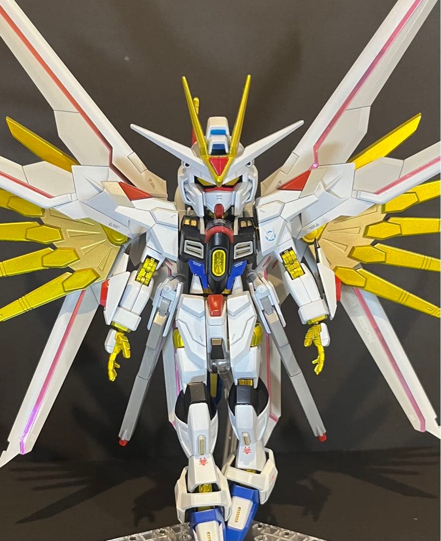 マイティーストライクフリーダムガンダム塗装済み